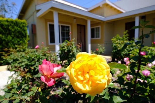 Royal Inn and Suites image 15